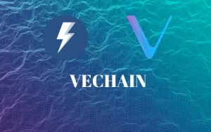 WHAT IS VECHAIN and VET Image