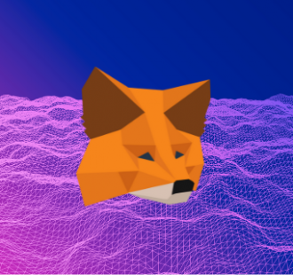 What is a MetaMask Wallet Image